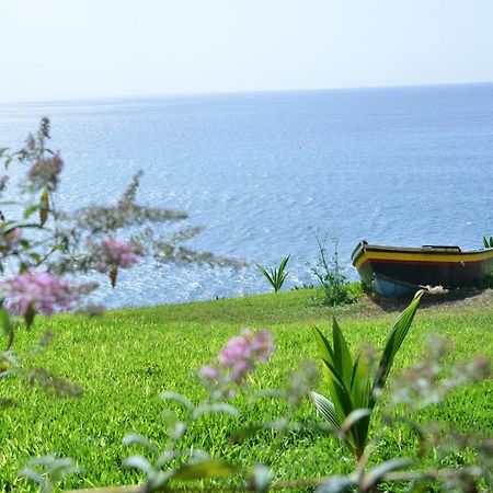 Quinta Golfinho Apartment Arco da Calheta  Exterior foto