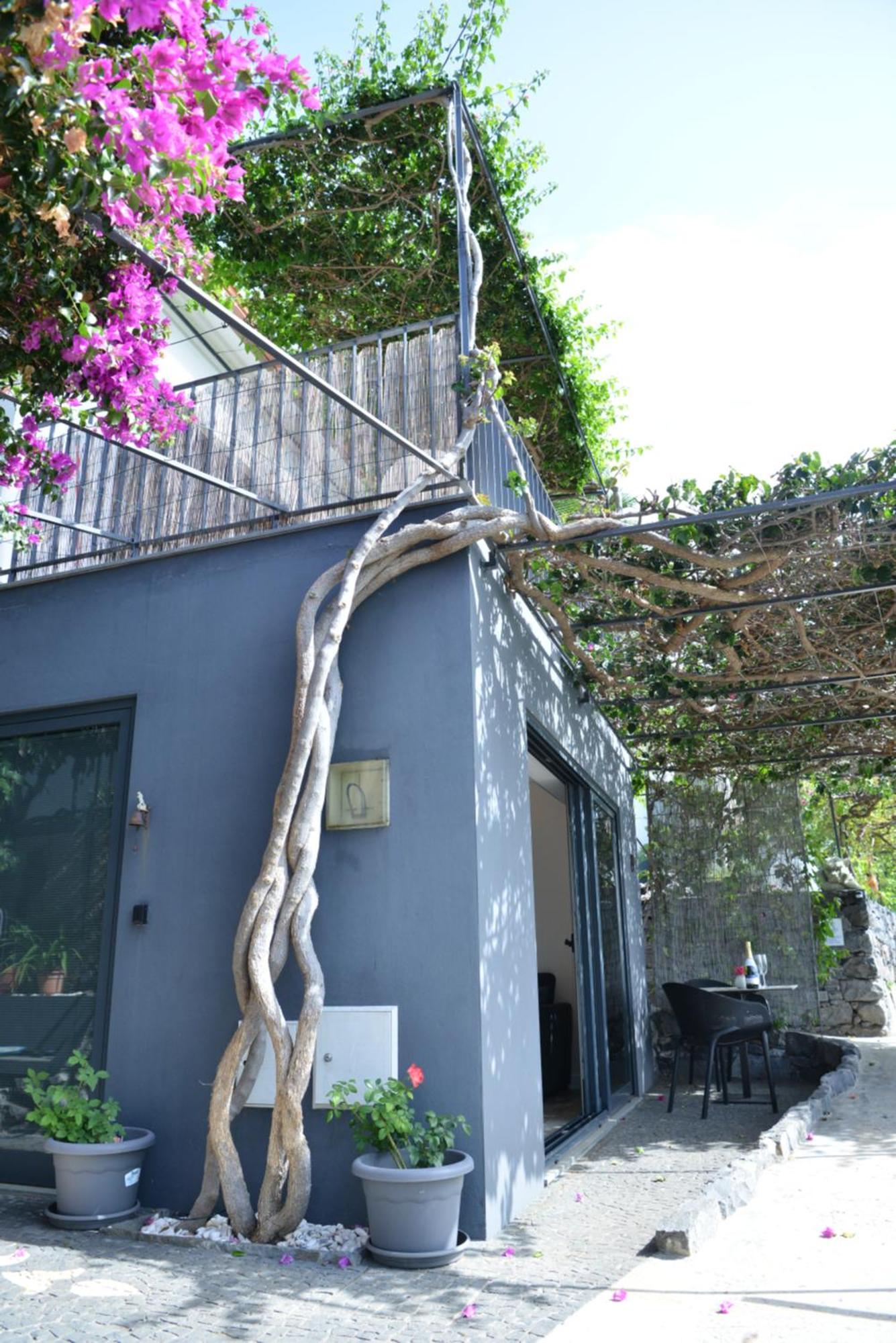 Quinta Golfinho Apartment Arco da Calheta  Exterior foto