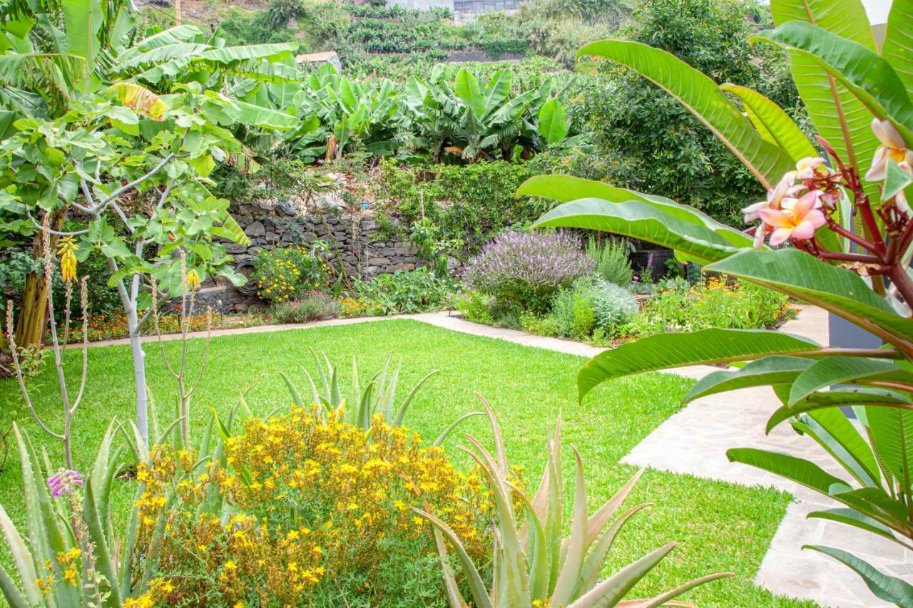 Quinta Golfinho Apartment Arco da Calheta  Exterior foto